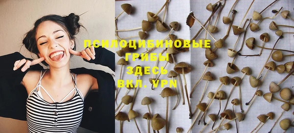 марки nbome Новозыбков