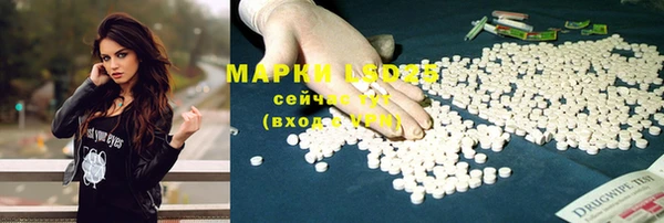 марки nbome Новозыбков